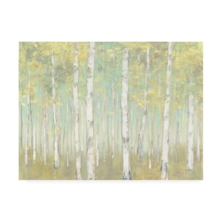 Trademark Fine Art Julia Purinton 'Sylvan Birches' Canvas Art, 24x32 WAP12052-C2432GG